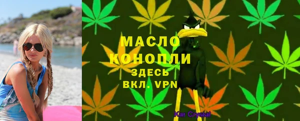 гидра Горняк