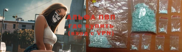 гидра Горняк