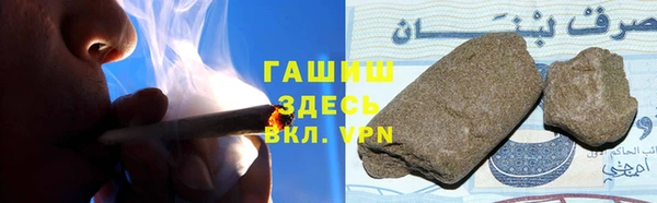 PSILOCYBIN Горно-Алтайск