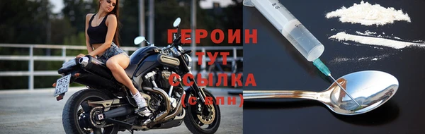 гидра Горняк