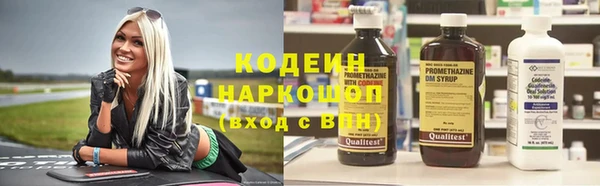 гидра Горняк