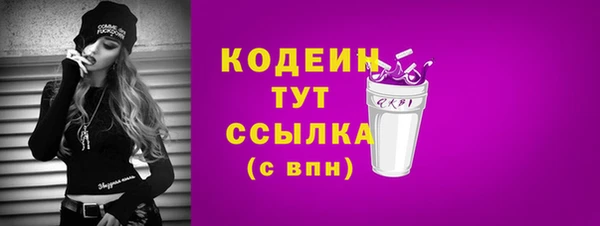 гидра Горняк