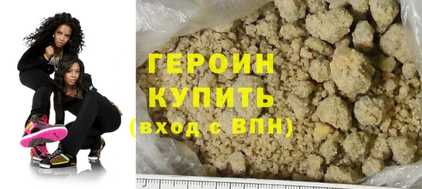 гидра Горняк